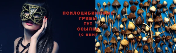 ALPHA PVP Вязники
