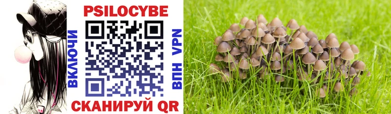 Псилоцибиновые грибы Cubensis  Инсар 